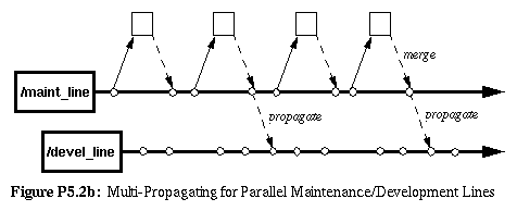 Figure P5.2b: Multi-Propagating for Parallel Maintenance/Development Lines